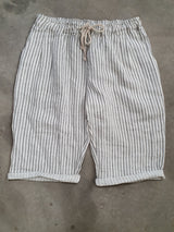 Frederic Striped Bermuda Shorts - OS