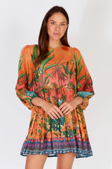 Amazonia Dress Multi