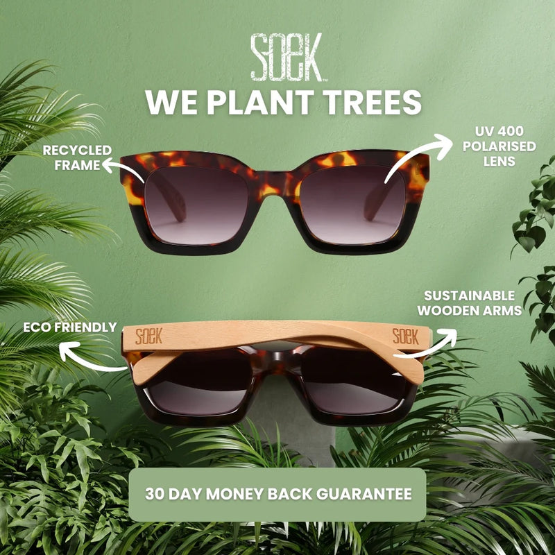 SOLUNA MOCHA TORT SUNGLASSES