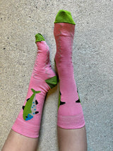 Sardines Pink Cotton Socks