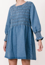 Country Denim Shirred Dress